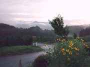 �Ă̓��̏I���