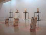 ���u���g�ݍ�i�F�m�X�^���W�A