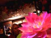 �T�C�S�����]�X