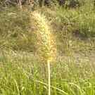 �˂�����炵