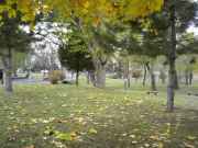 The central lawn, Hokkaido University campus