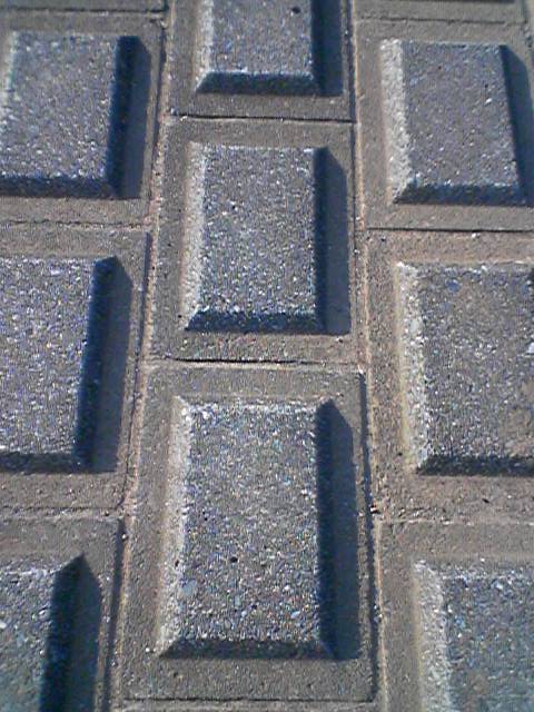 on the bank of the Tama